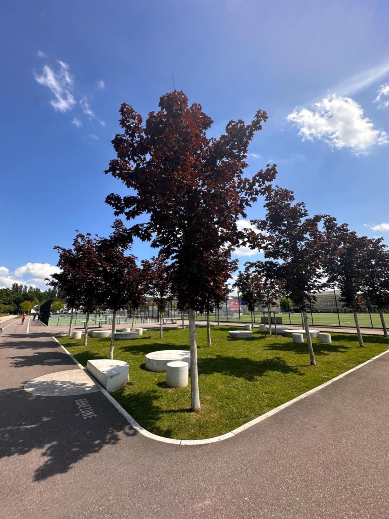 Amao-Brown I Exklusives City-Apartment I 85Qm I Privatparkplatz & Komfort I King-Size Bed Лар Экстерьер фото